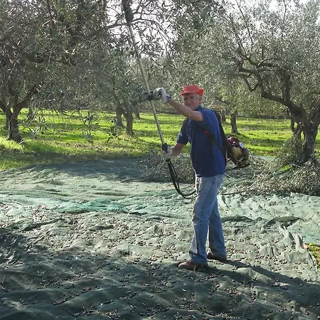 La Zagara